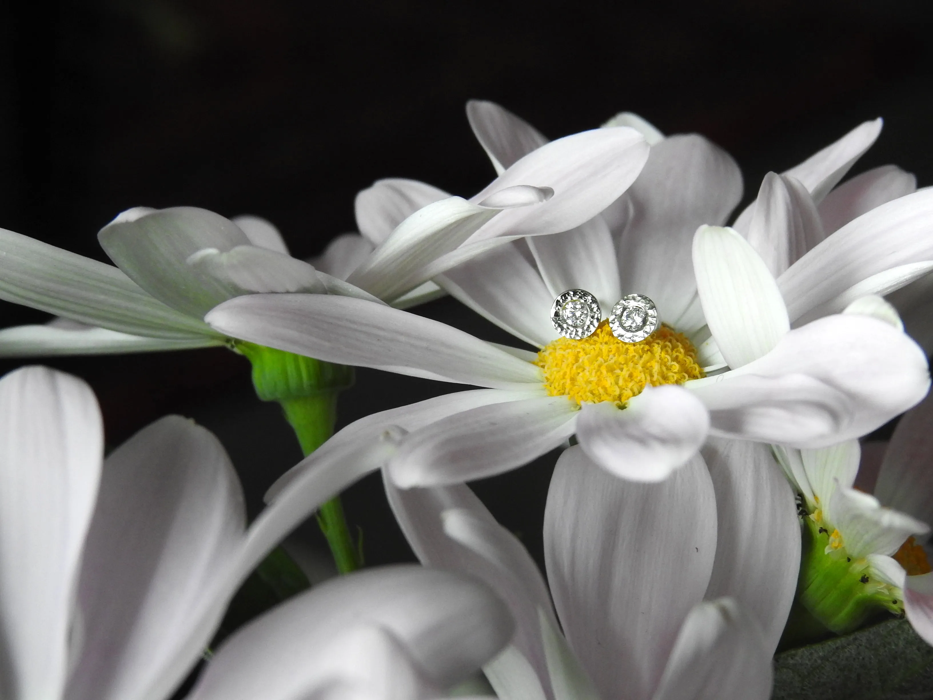 Planish bezel diamond studs